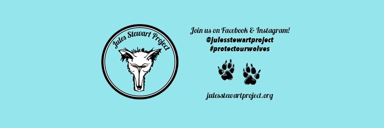 RealJulesStew's profile banner image