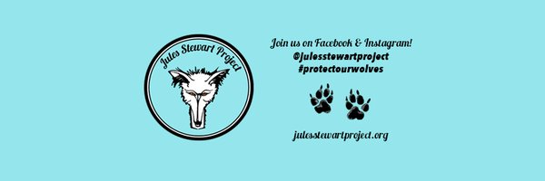 RealJulesStew Profile Banner