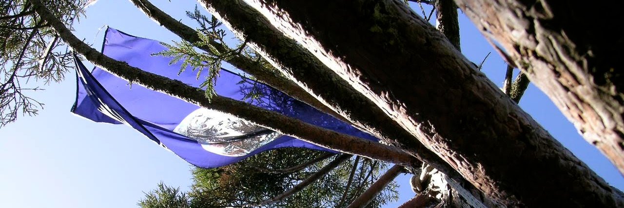votevega's profile banner image