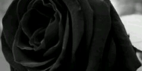 vero_guarde's profile banner image