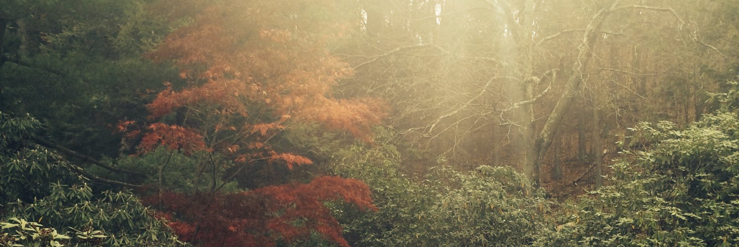 poonuggz's profile banner image