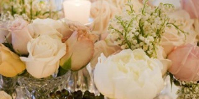 stemsandbows's profile banner image