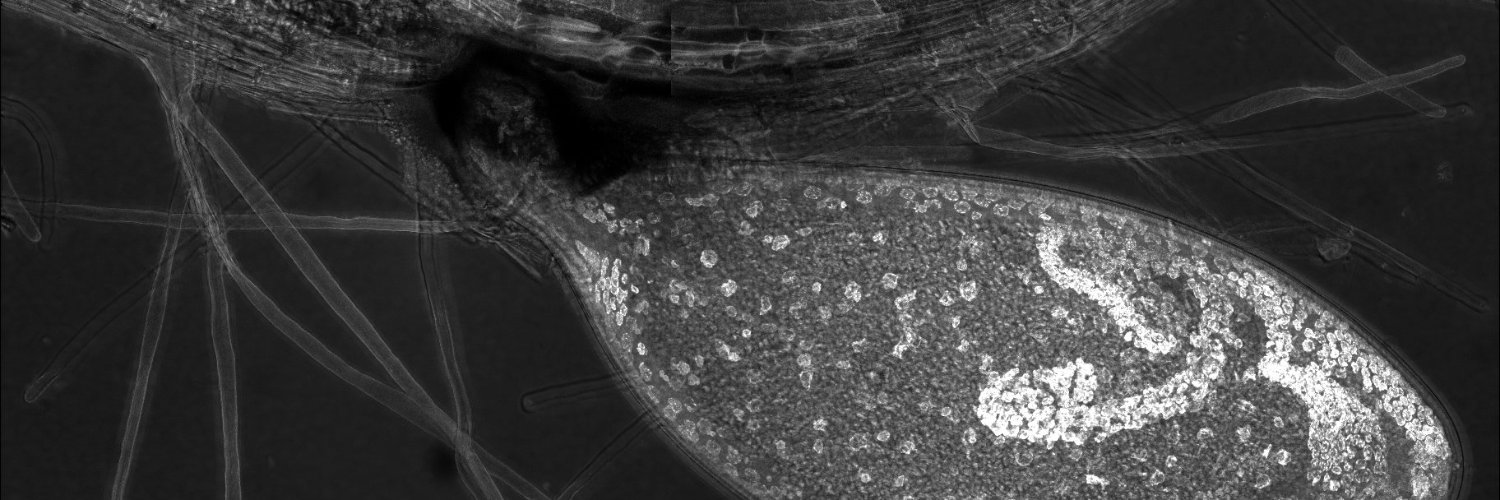 Alexis L Sperling banner