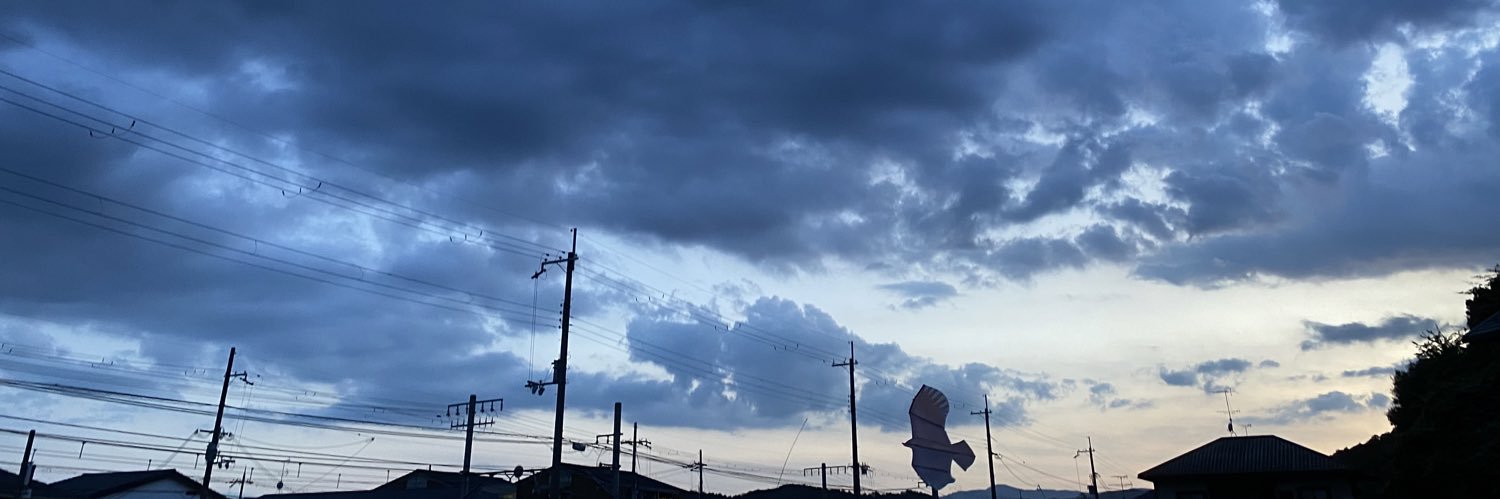 ドラねこナイン🔞絵垢 banner