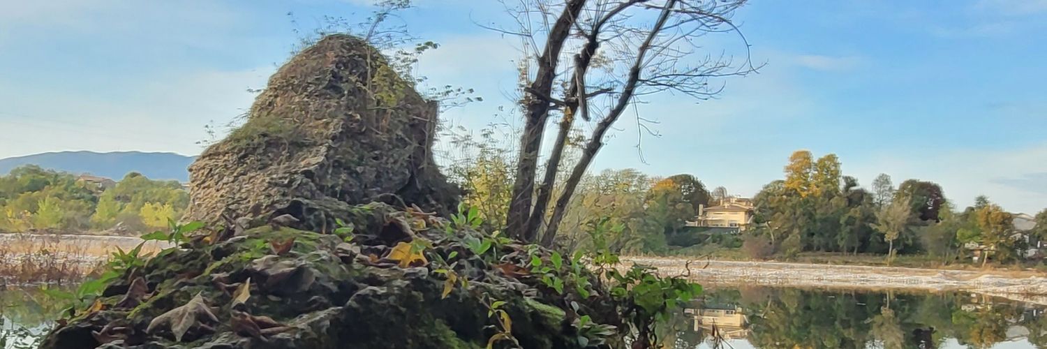 Sirlillo's profile banner image