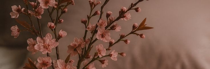 VicMro27's profile banner image