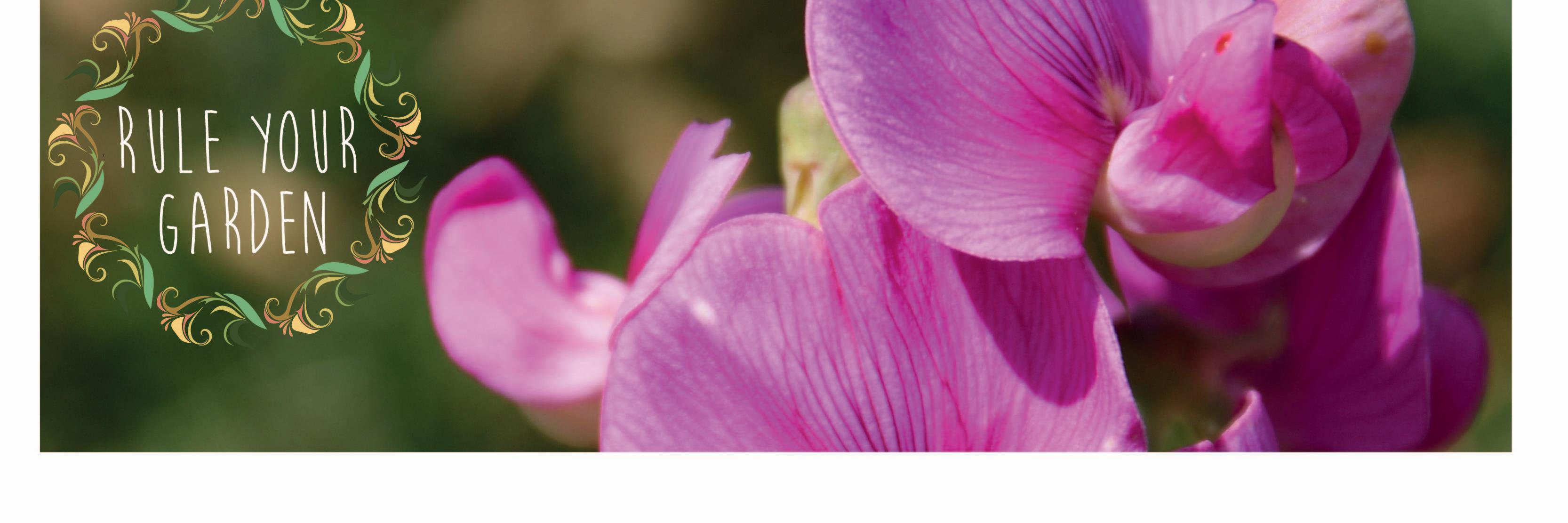 RuleYourGarden's profile banner image