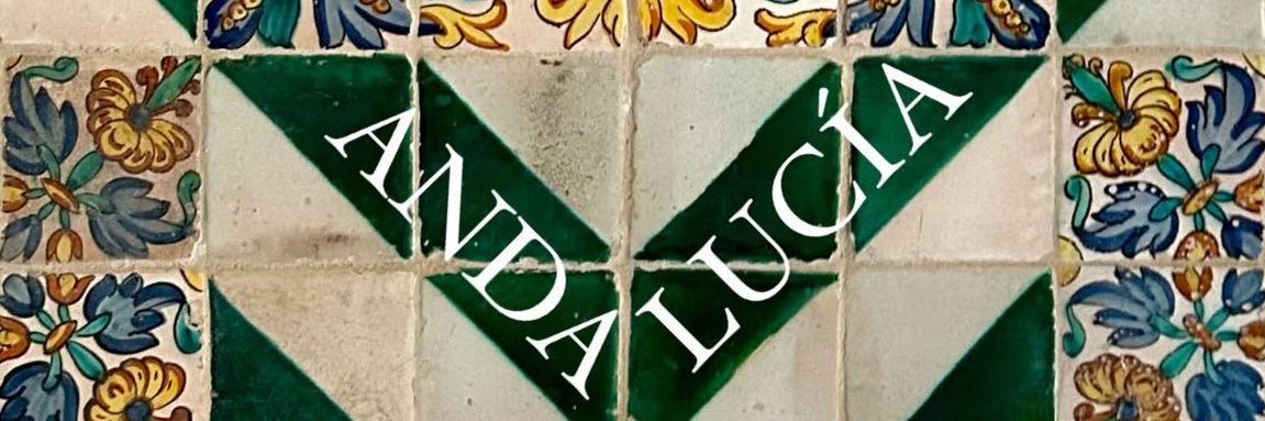 Nando_SdV's profile banner image