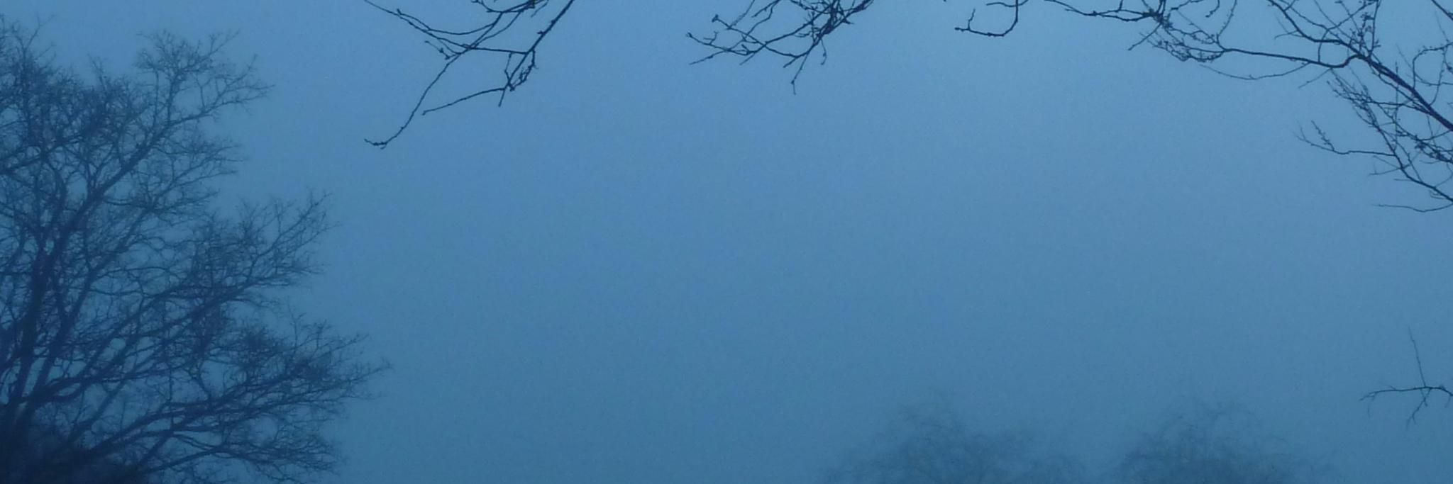 chriscather's profile banner image