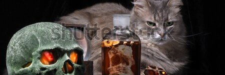 UniverseFactory's profile banner image
