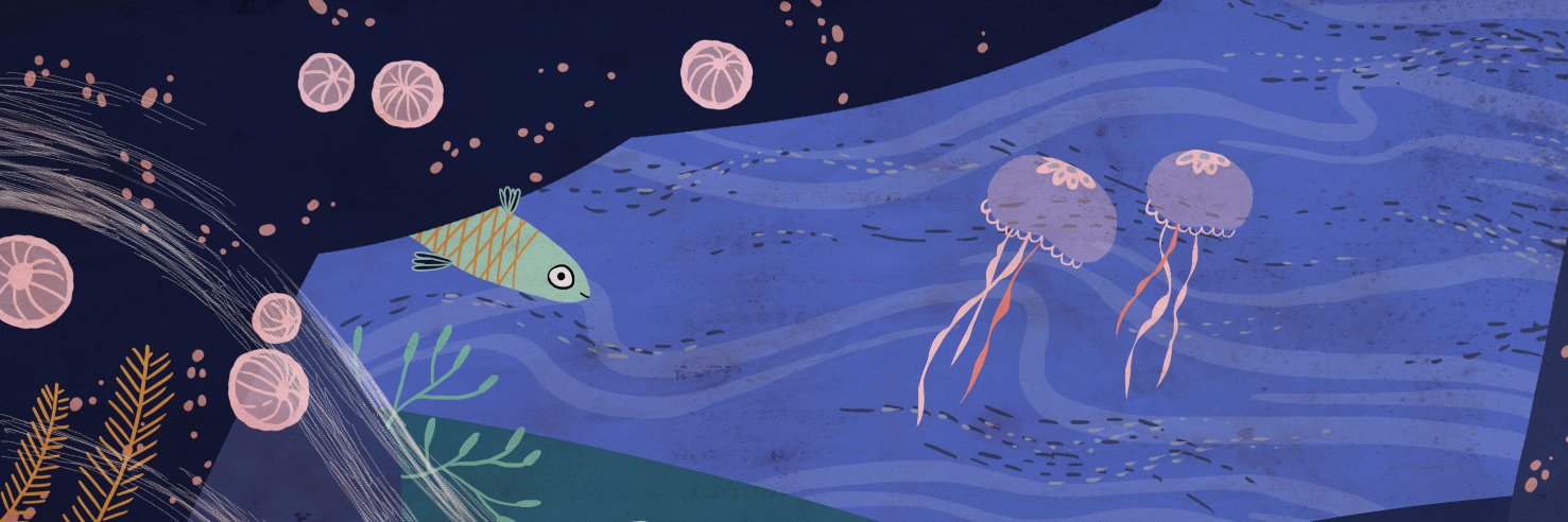 Naomi Perry banner