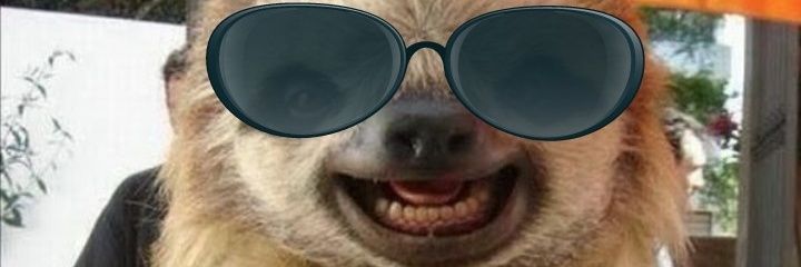 rogigazoli's profile banner image