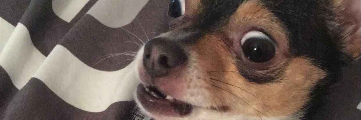 MleVylent's profile banner image