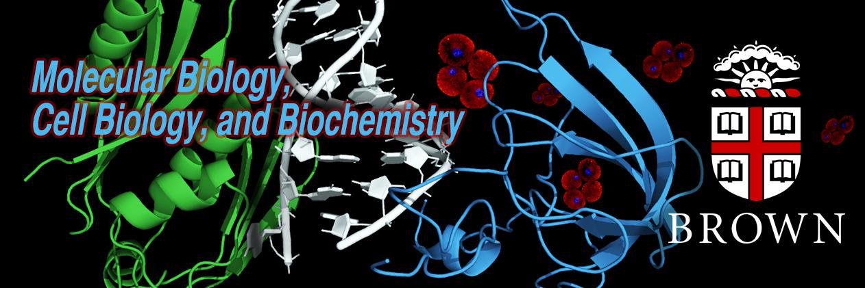 Brown University MCB banner