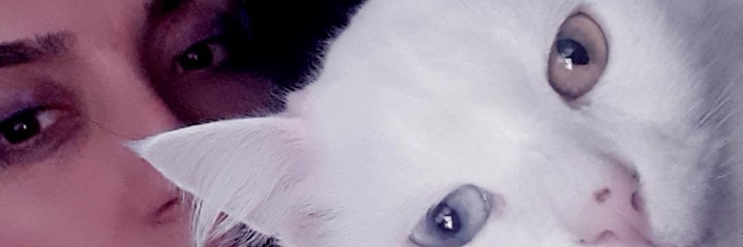 lfti132's profile banner image