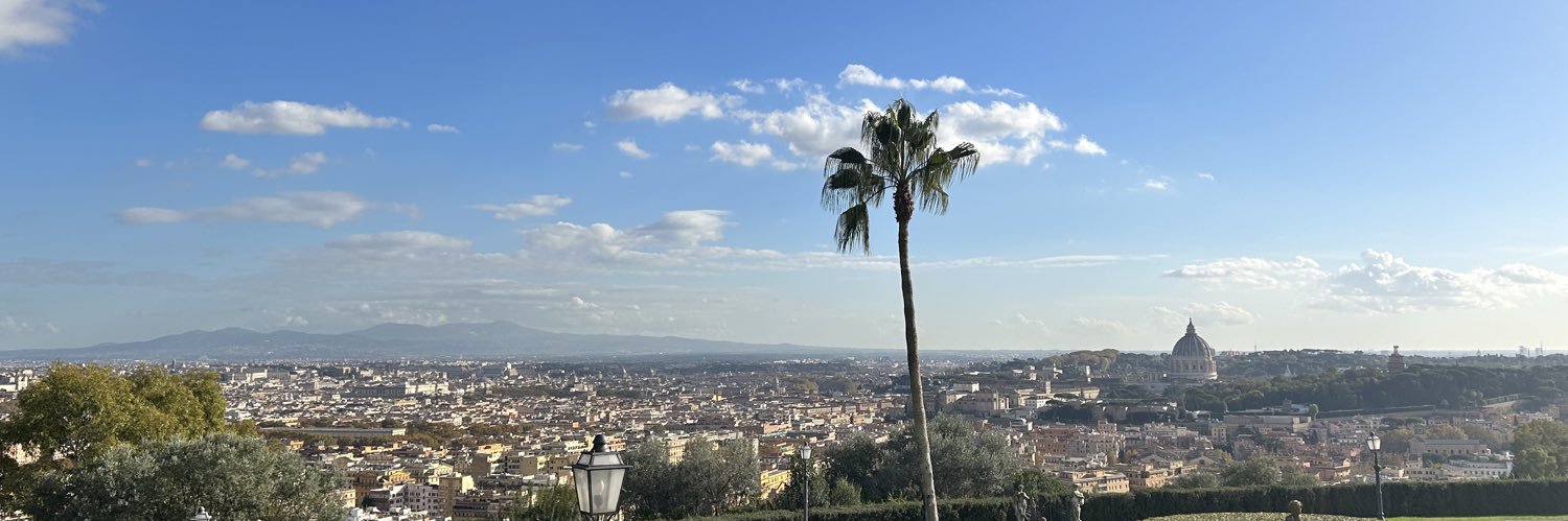 VeraMarraccini's profile banner image