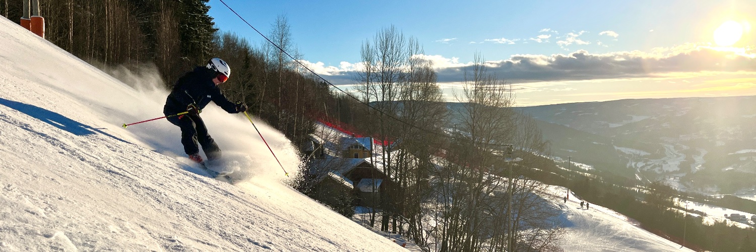 Sebastian Würtz Bonde banner