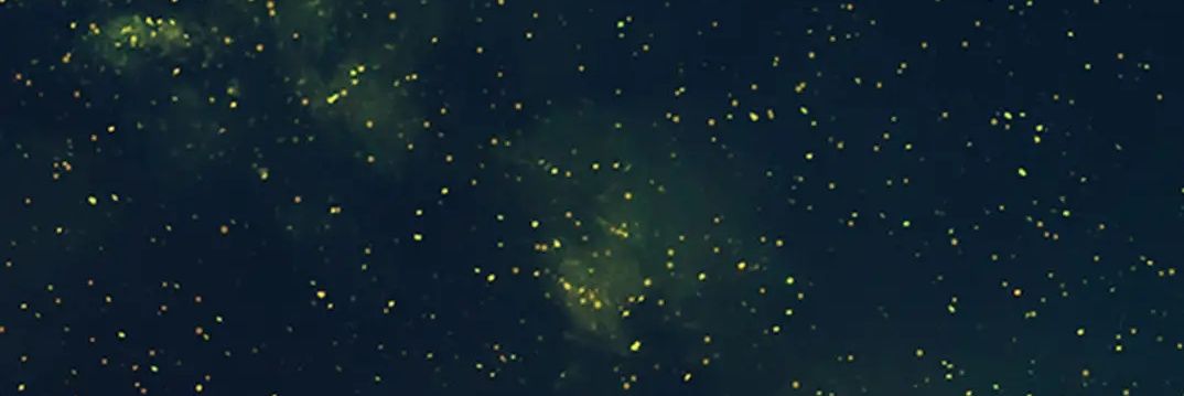 oyem_wilson's profile banner image