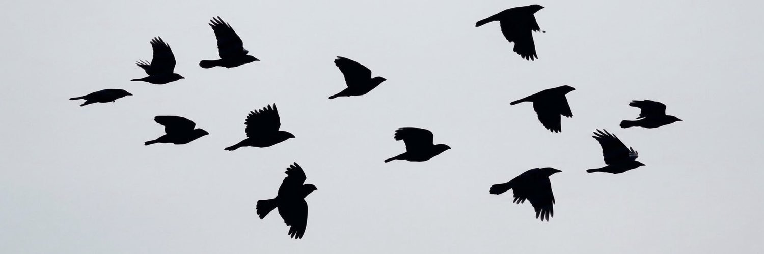 TrendAlpha365's profile banner image