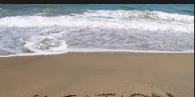 MsCarlos13's profile banner image