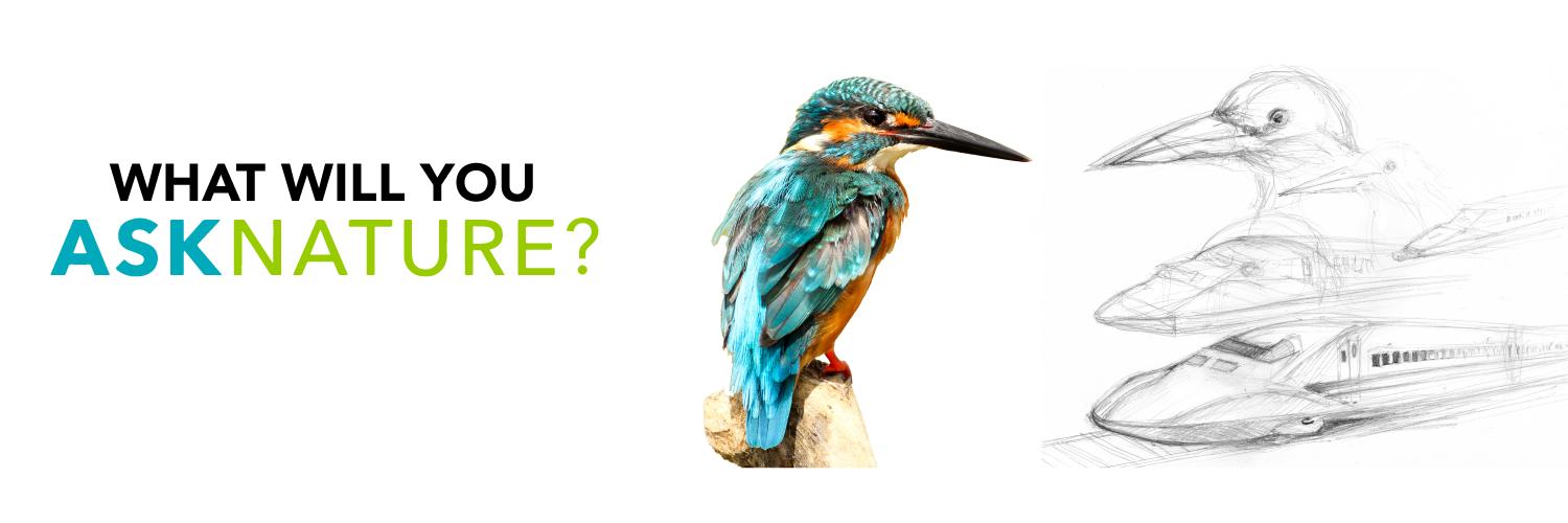 AskNature.org banner