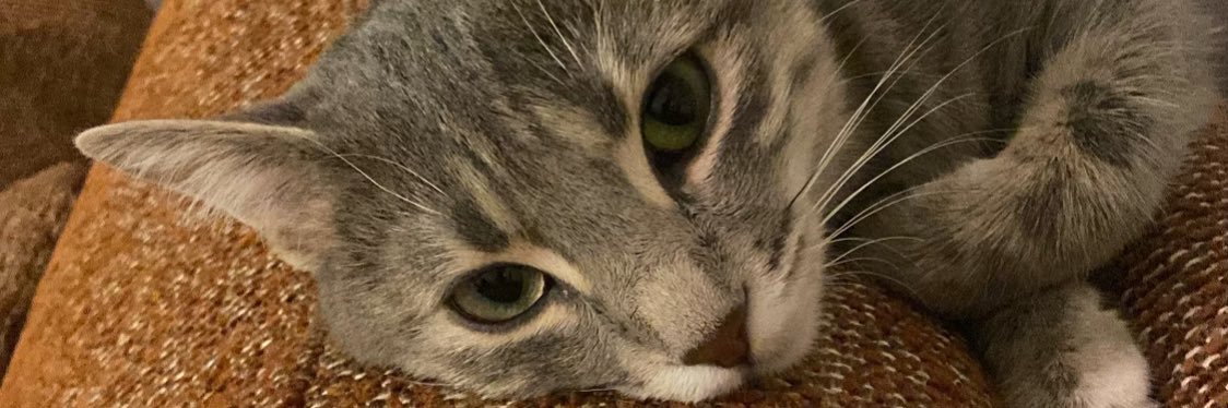 mamiipekci's profile banner image