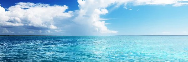 TomatoBob13's profile banner image