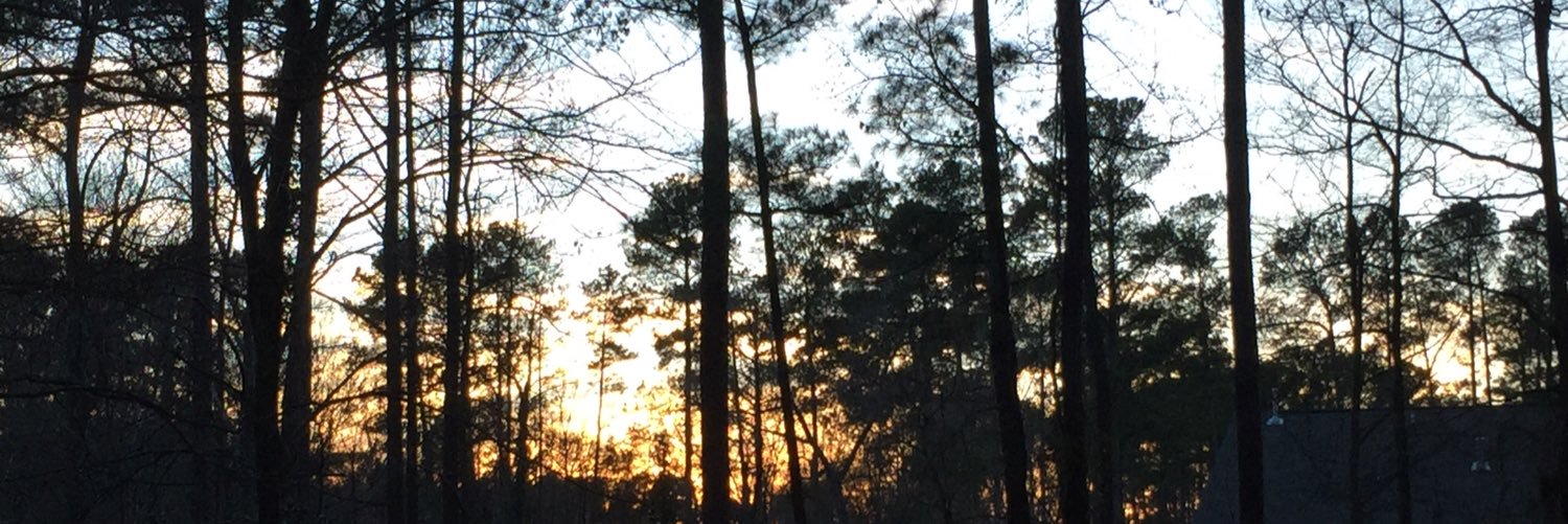 bcolescience's profile banner image