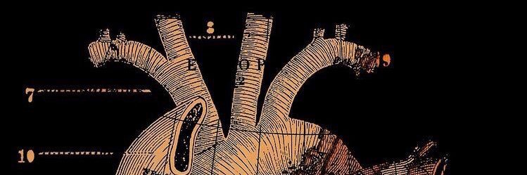 DiceandTeo's profile banner image