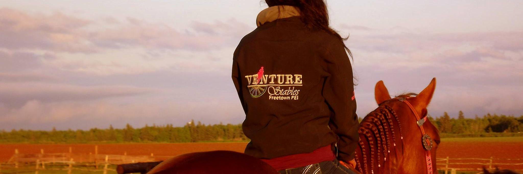 VENTURE STABLES banner