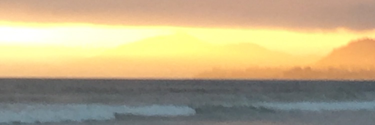 Stefani Williams banner