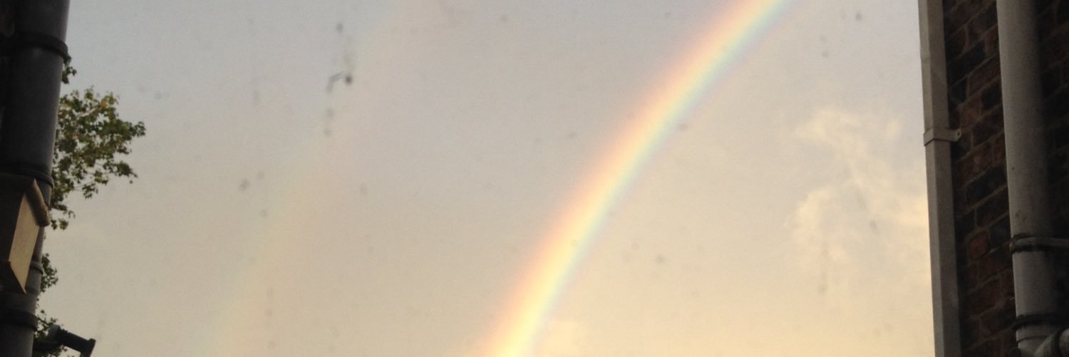 grubbyschmoo's profile banner image