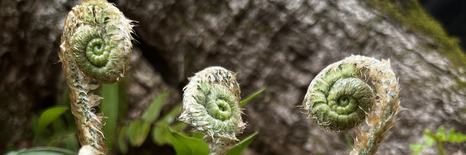 Joseph P Fernandez banner
