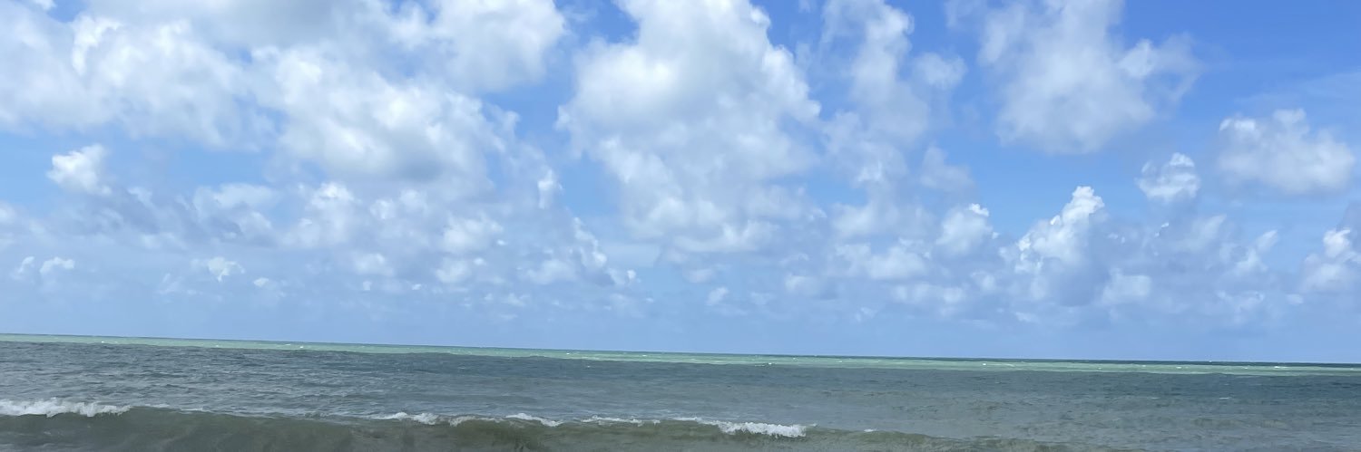GervasioRayff's profile banner image