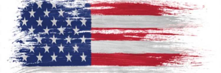 LadyTrumpVoter's profile banner image
