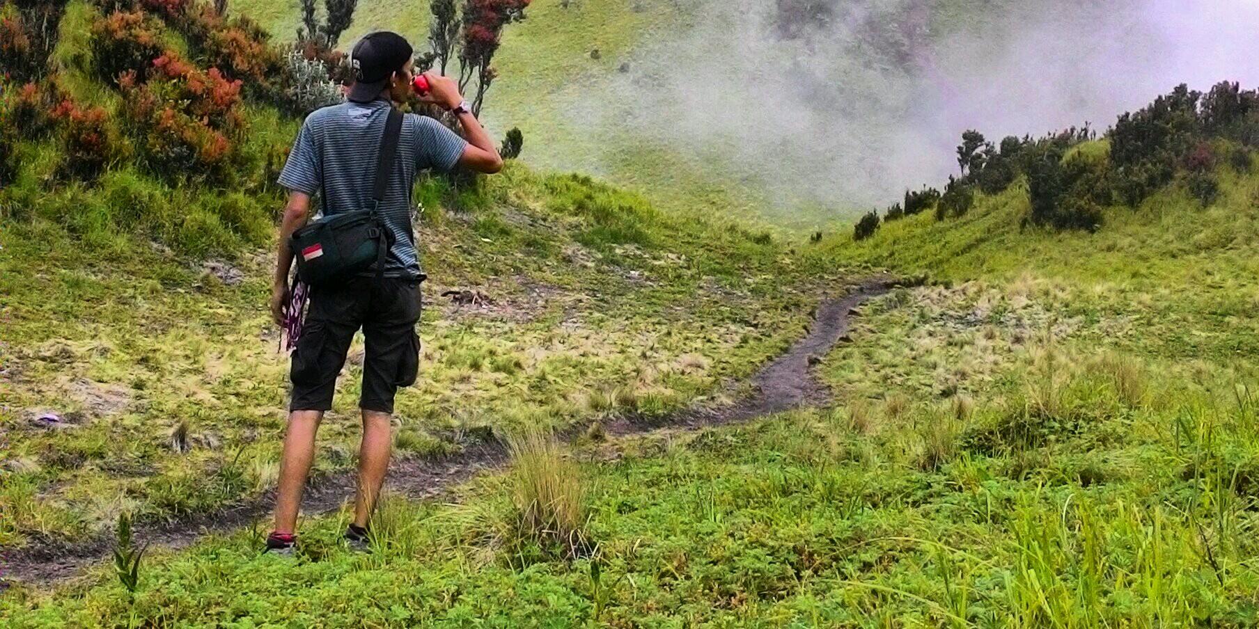 Die Young Wolf banner