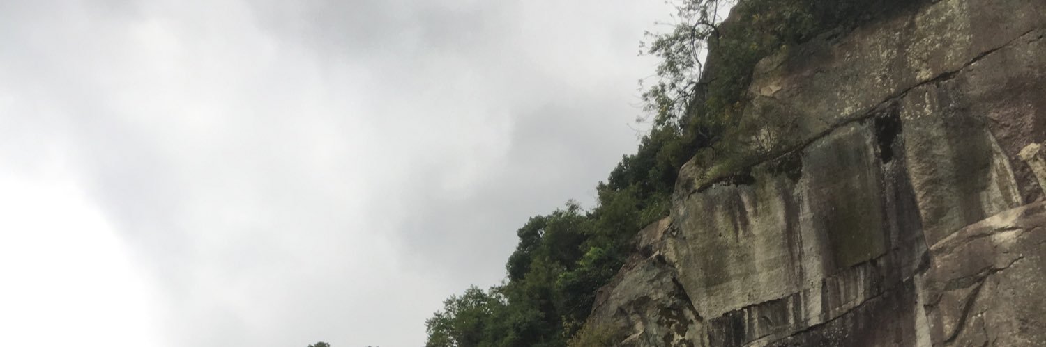 عبدالرحمن العمر banner