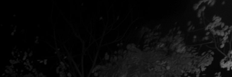 Mozarccc's profile banner image