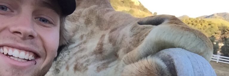 StanleyandLuke's profile banner image