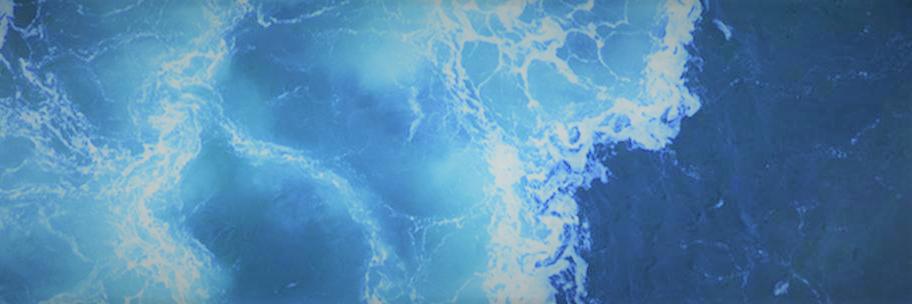 bellwetherneuro's profile banner image