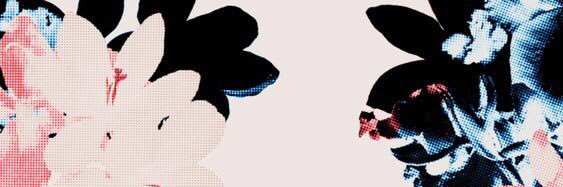 taaylorrxoxo's profile banner image