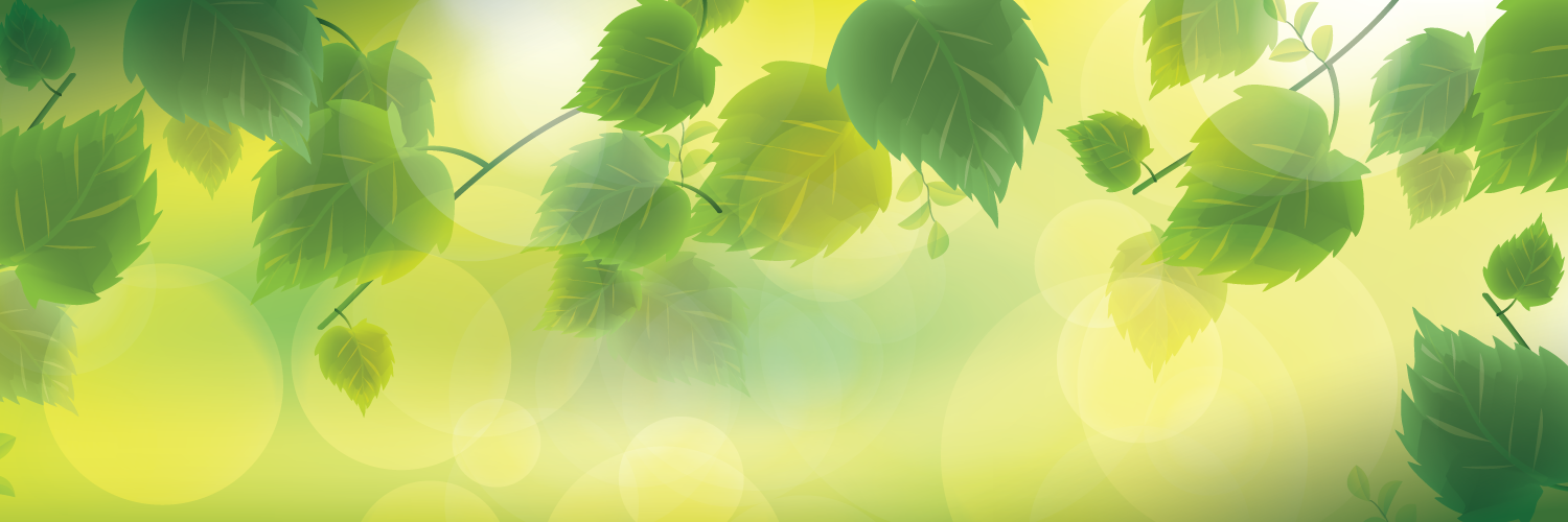 MundoViviente's profile banner image