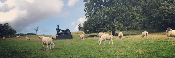 leetallant1 Profile Banner