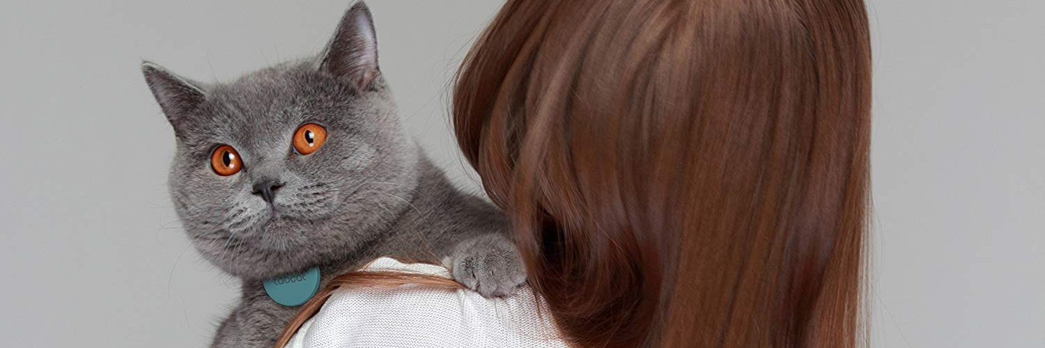MyTabcat banner