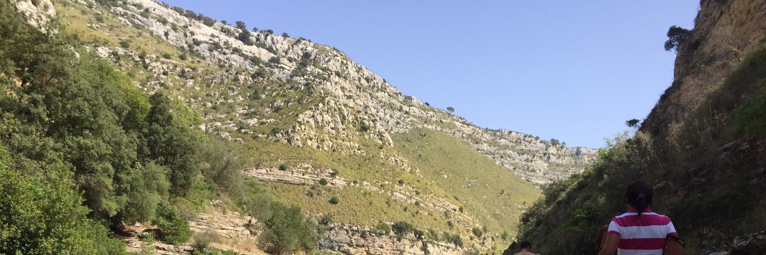 Ivan Bartolo banner