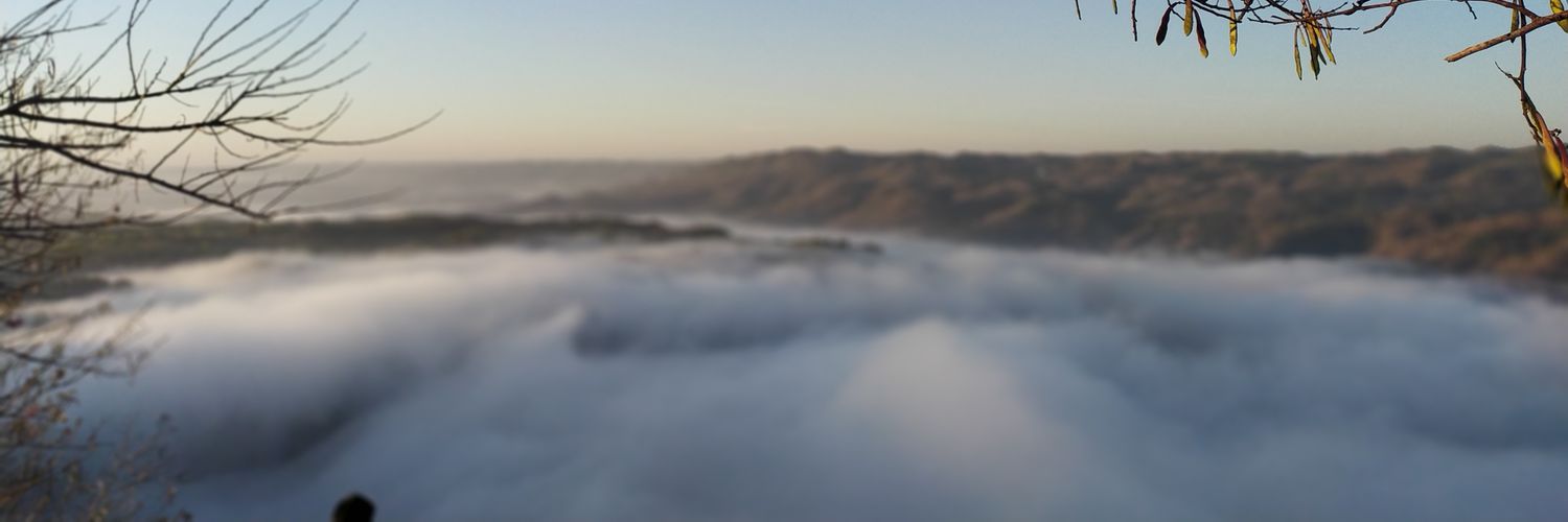 thbi_thobi's profile banner image
