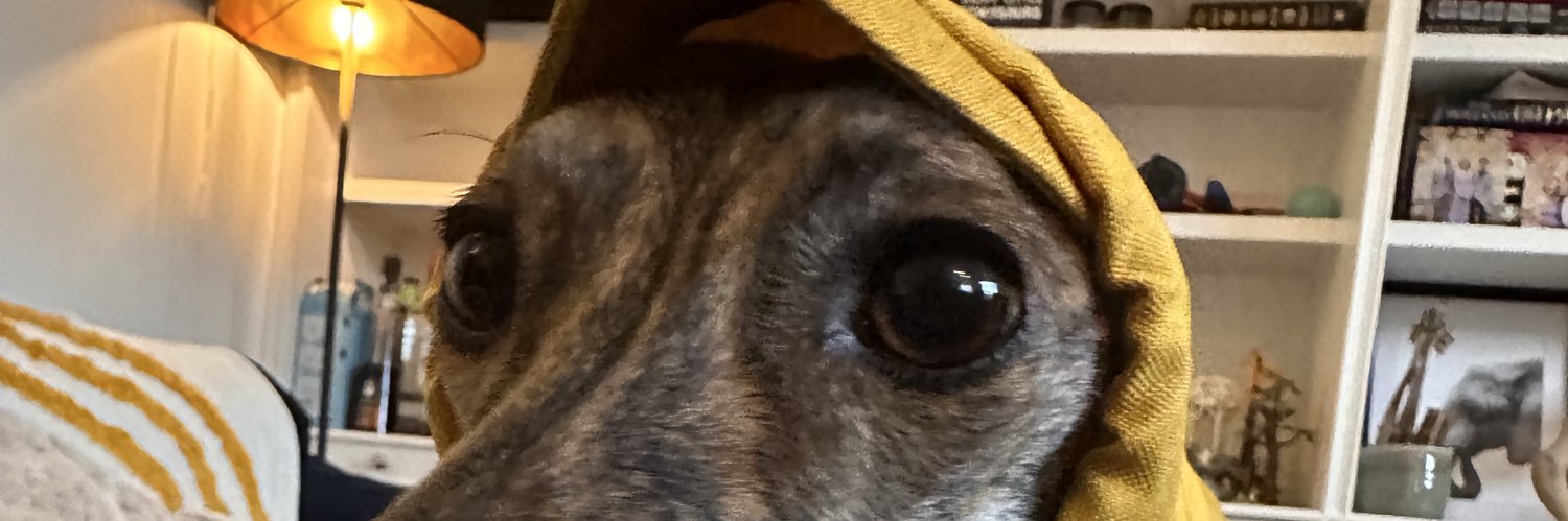 Ed Stephinson banner