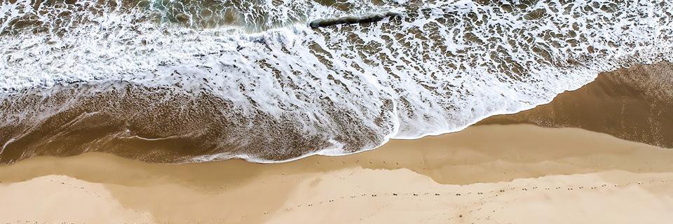 RMackerelHostel's profile banner image
