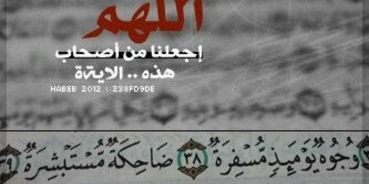 AAlmatroushi's profile banner image