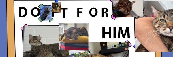 saraxltm's profile banner image